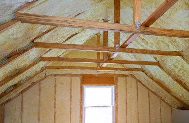 Best Spray Foam Insulation in Rock Valley, IA