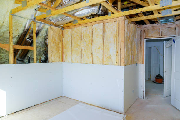 Best Cellulose Insulation in Rock Valley, IA
