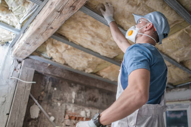 Best Commercial Insulation in Rock Valley, IA