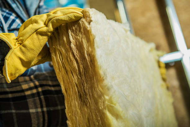 Best Residential Insulation in Rock Valley, IA