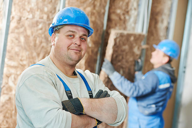 Best Specialized Insulation Services in Rock Valley, IA